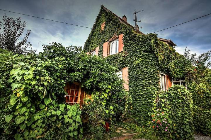 Location de vacances pour 8 personnes, avec Terrasse et Jardin à Ebersheim
