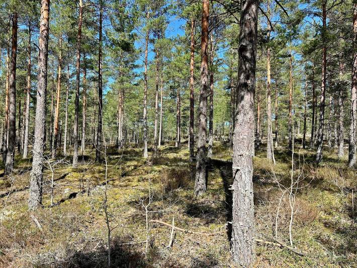 7 personas casa en Järna in Mar báltico sueco