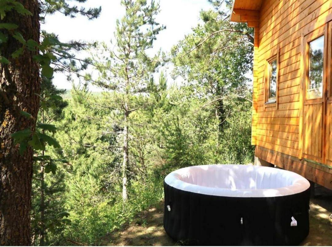 Chalet sous les pins classé 3 étoiles idéal pour 2, possible pour 4 in Céreste, Parc naturel régional du Luberon