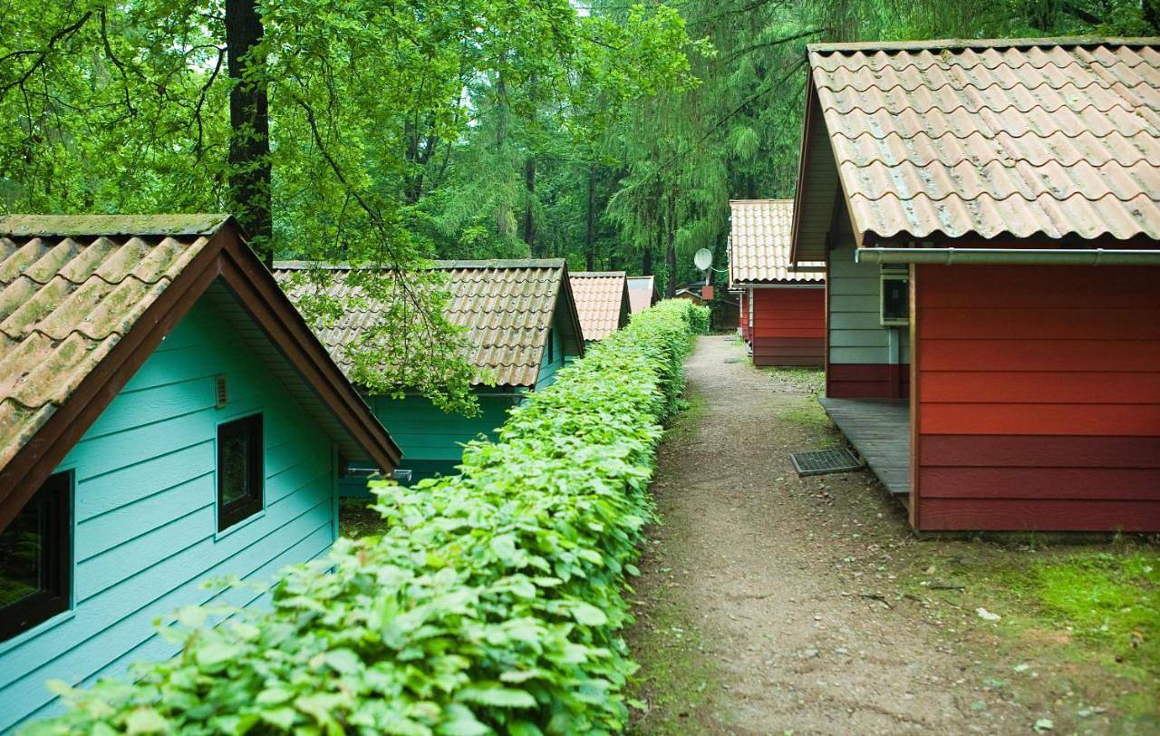 Waldidylle - Bungalows an der Talsperre Kriebstein in Kriebstein, Chemnitz und Umgebung