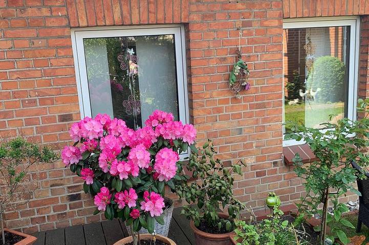 Ferienwohnung für 2 Personen, mit Garten - 1