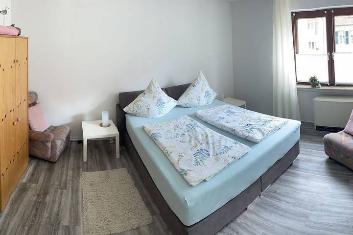 Appartement entier, Bel appartement central avec connexion S-Bahn à Heidelberg et vue sur le château in Hirschhorn, Bergstraße