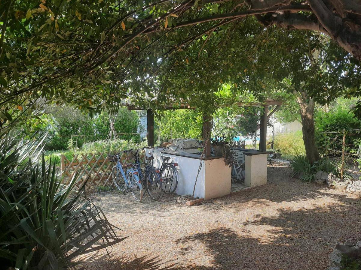 Appartement entier, La maison blanche , piscine partagée 5min d'Avignon in Le Pontet, Vaucluse