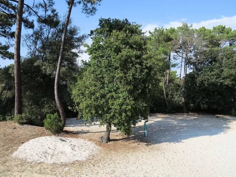 Entire apartment, 2 Rooms for 4 People in Le Verdon-sur-Mer, Lesparre-Médoc region