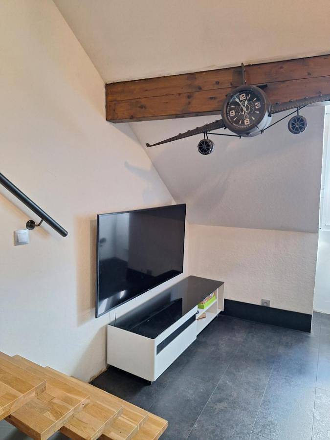 Gîte pour 6 personnes, avec jardin à Rumilly - 4