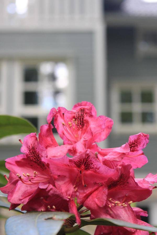 Ferienwohnung für 5 Personen, mit Garten und Ausblick in Ferch - 4