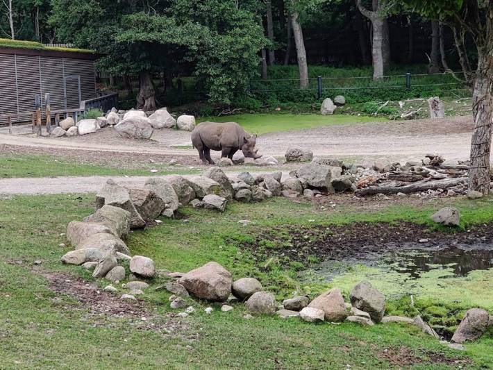 Ferienhaus für 3 Personen, mit Terrasse und Garten, mit Haustier in Djursland - 4