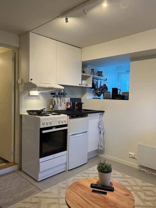 Ferienwohnung für 2 Personen, mit Terrasse und Seeblick sowie Garten in Trondheim - 4
