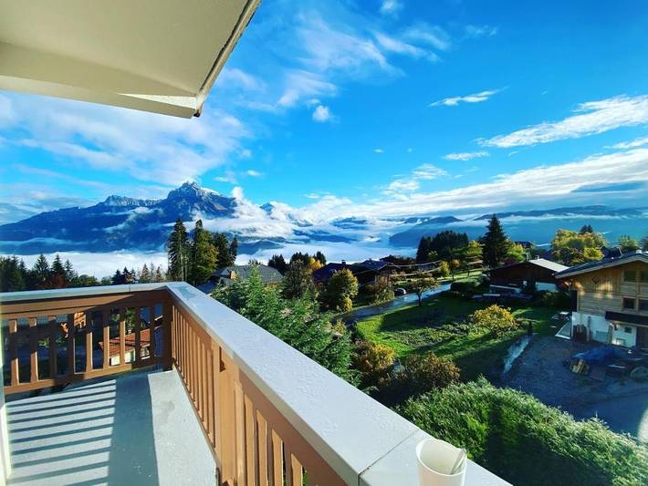 Appart’hôtel pour 2 personnes, avec Balcon et Terrasse ainsi que Jardin et Vue à Combloux