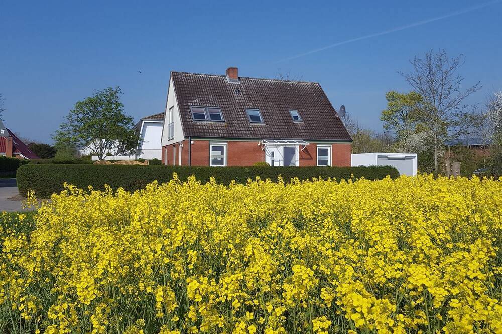 Ganze Wohnung, Ferienwohnung/App. für 4 Gäste mit 55m² in Fehmarn Ot Bannesdorf in Ostfehmarn, Fehmarn