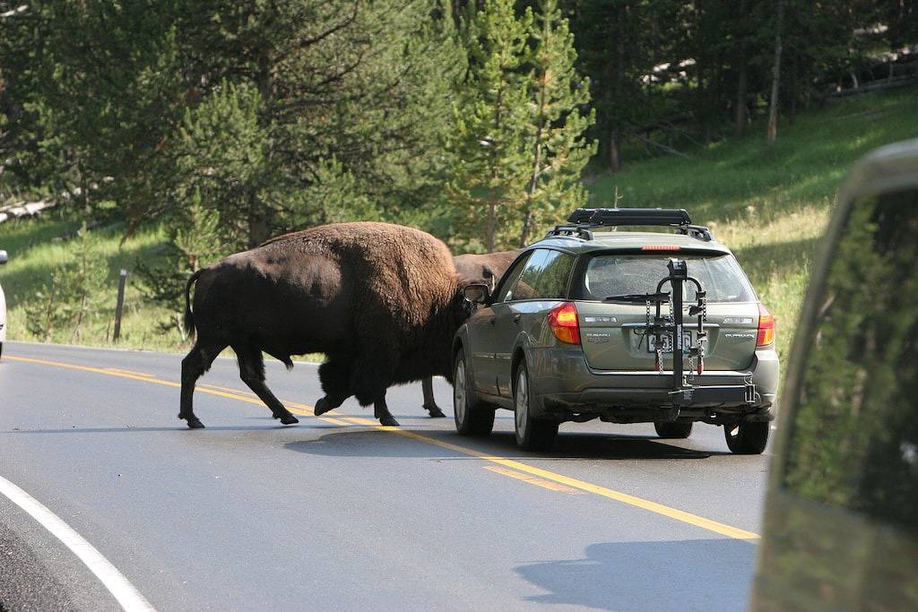 Das gemütliche Chalet in Gallatin Range -warm und einladende Berghütte in Big Sky Mountain Village, Big Sky