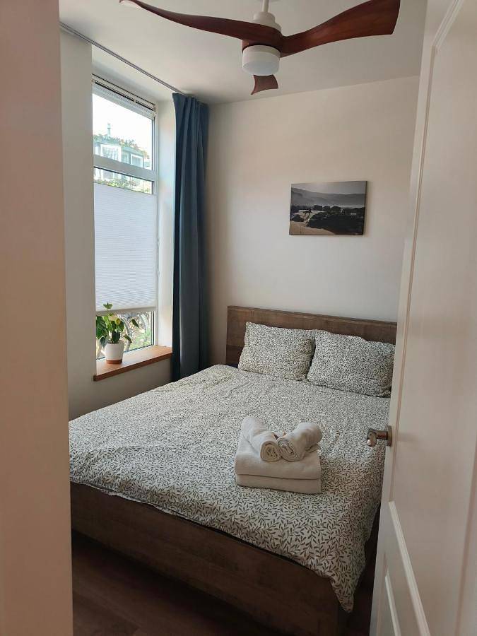 Ferienwohnung für 4 Personen, mit Terrasse, mit Haustier in Haarlem - 2