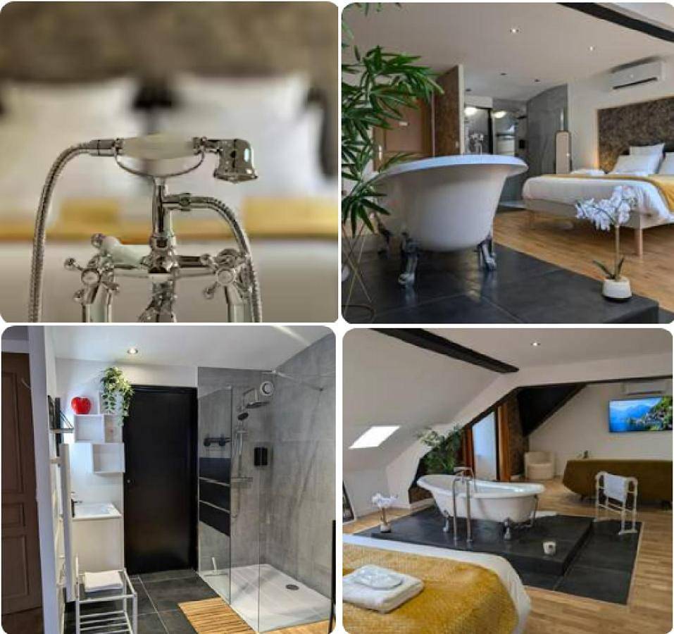 Appartement entier, La Suite - Villa Valmy - Hypercentre - Gare Sncf in Montluçon, Région de Montluçon