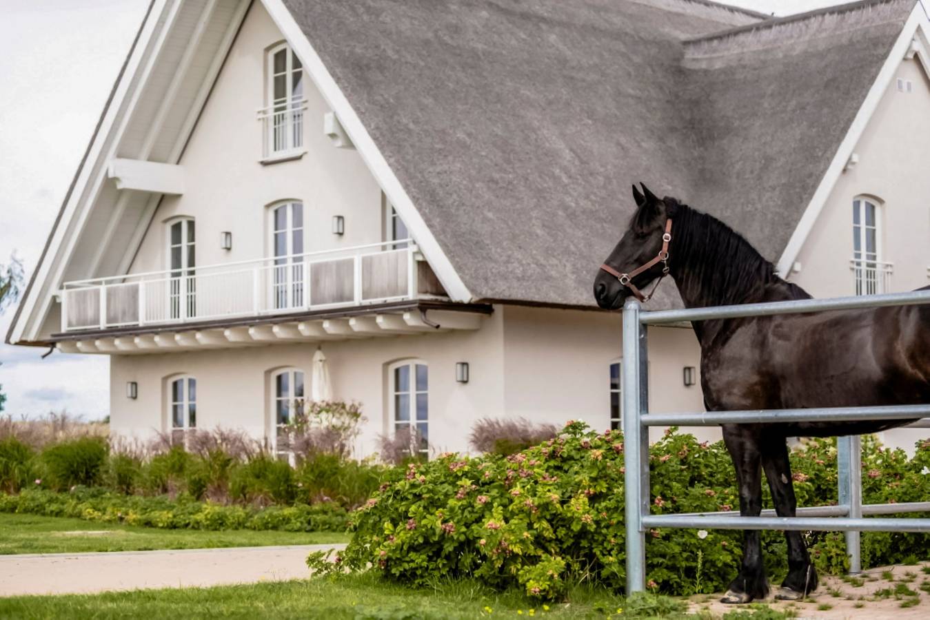 Ferienwohnung in Usedom ab 155€ pro Nacht