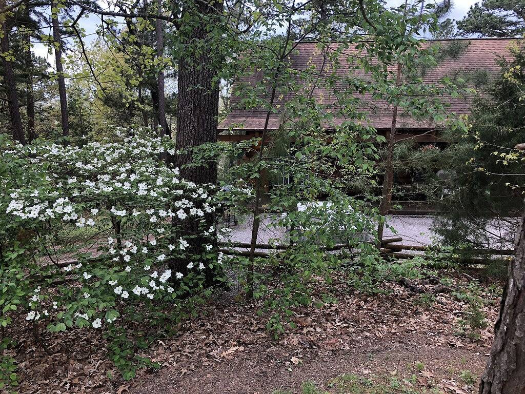 Branson Mo Blockhaus Private Veranda Ruhig Mtn. Waldansicht über See, Handicap in Table Rock Lake