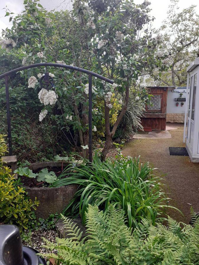 Gîte pour 6 personnes, avec terrasse et jardin, animaux acceptés dans Logelbach - 3