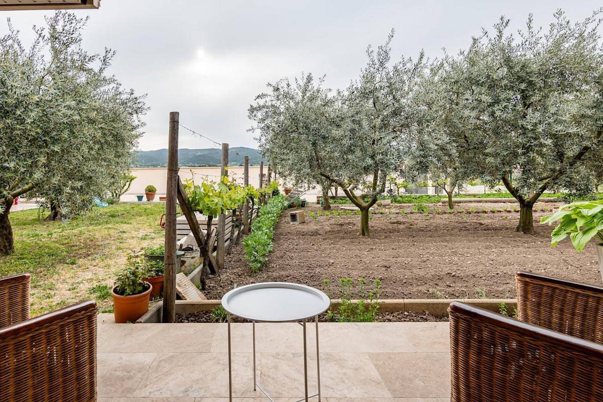 Charmante maison en pierre avec jardin in Les Mées, Alpes-de-Haute-Provence