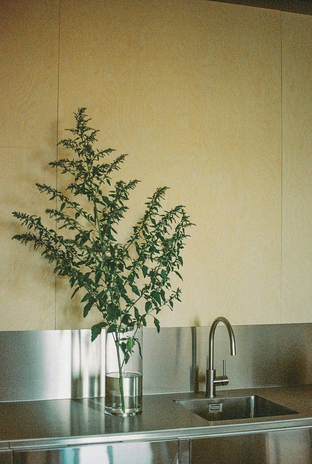 Ganze Wohnung, Dachgeschoss mit Balkon und Sauna in Naulitz in Werben (Elbe), Westhavelland