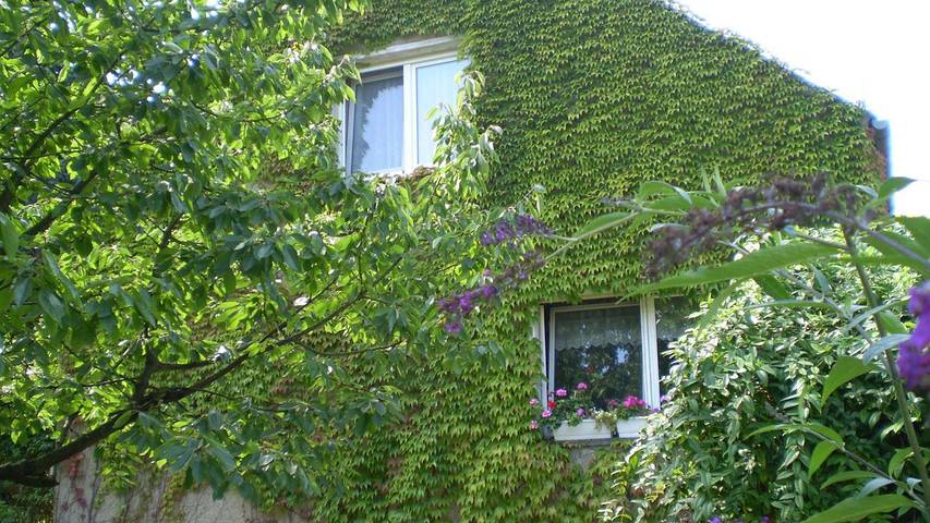 Ferienwohnung für 6 Personen, mit Garten in Neuruppin - 2