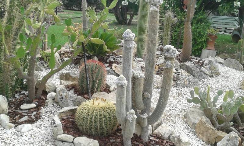 Gîte pour 4 personnes, avec terrasse et jardin, animaux acceptés à Menfi - 2