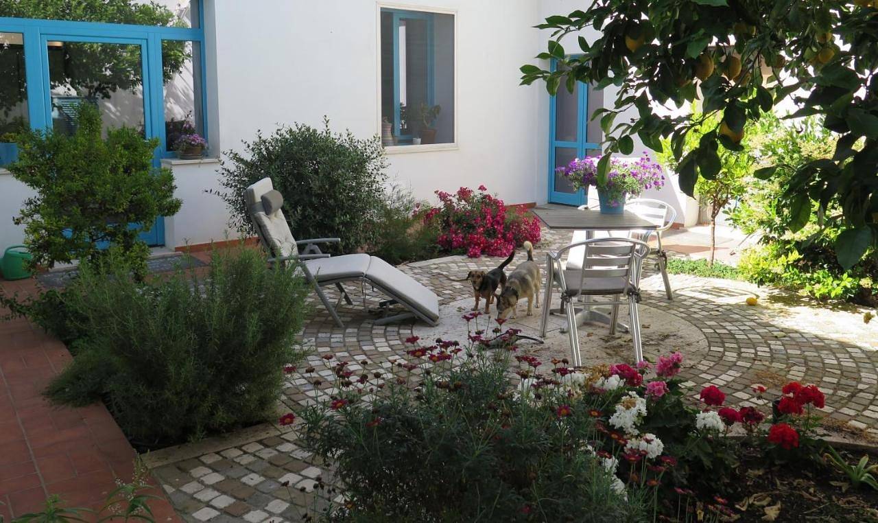B&b-Le Rondini in Monserrato, Campidano