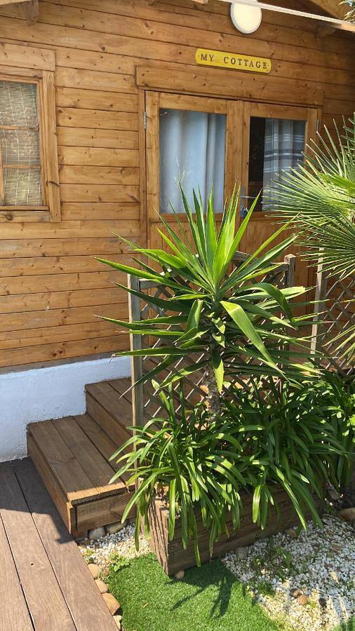 Chambre d’hôte pour 6 personnes à Gassin - 2