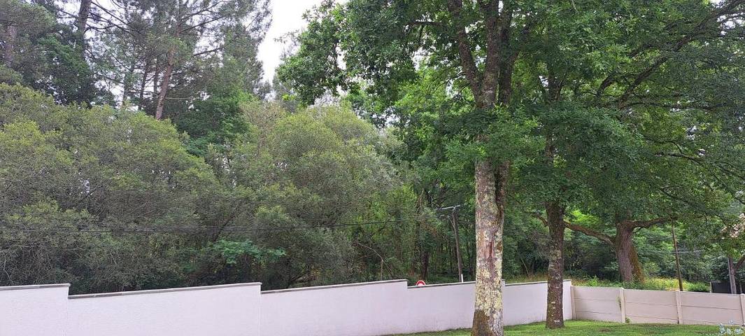 Gîte pour 4 personnes, avec jardin et vue à Mios - 2