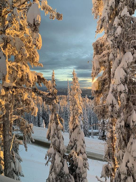 Ganze Wohnung, Stardust - Stag Suite 1 Schlafzimmer / Nische mit benutzerdefinierten Doppelstockbetten in Silver Star