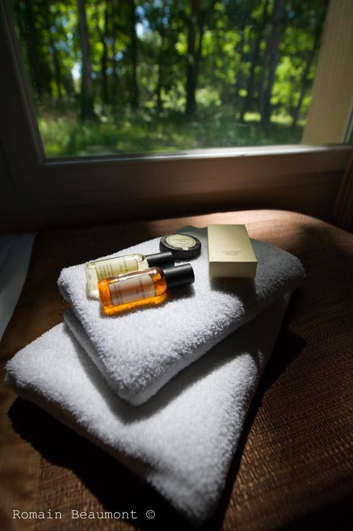 Hôtel pour 5 personnes, avec sauna et vue ainsi que piscine et jardin à Briare - 4