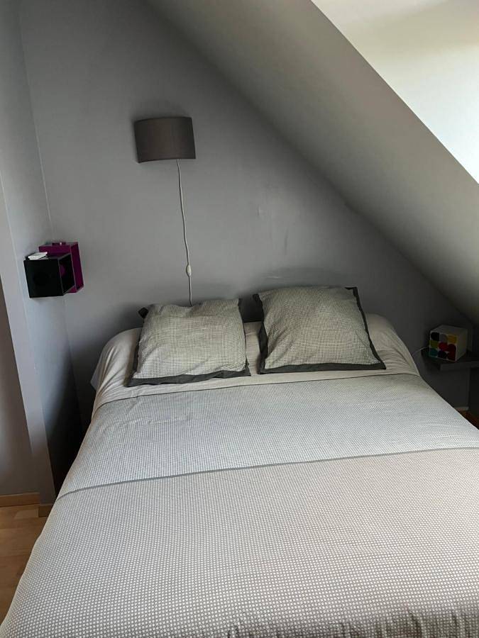 Location de vacances pour 2 personnes, avec vue ainsi que terrasse et jardin à Roézé-sur-Sarthe - 2
