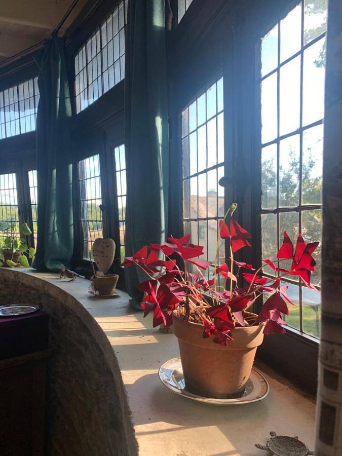 Chambre d’hôte pour 2 personnes, avec jardin et vue à Rochefort-en-Terre - 4