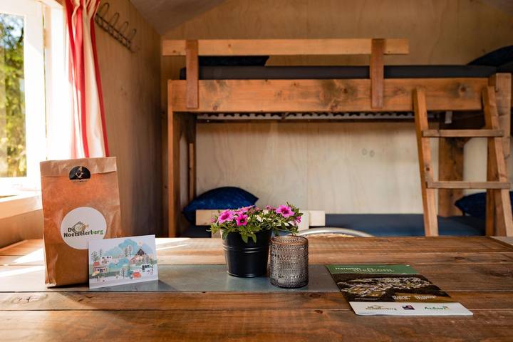 Location de vacances pour 4 personnes dans Nijverdal - 3