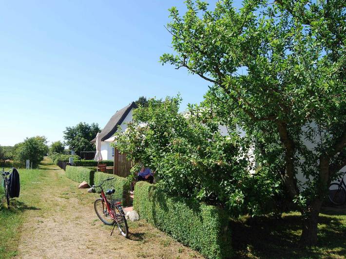 Ferienwohnung für 2 Personen, mit Terrasse auf Hiddensee - 3