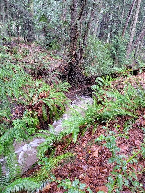 Haustierfreundliches Haus Westcott Bay Waterfronts. Nur wenige Minuten vom Hafen von Roche entfernt. in Roche Harbor, San Juan Island