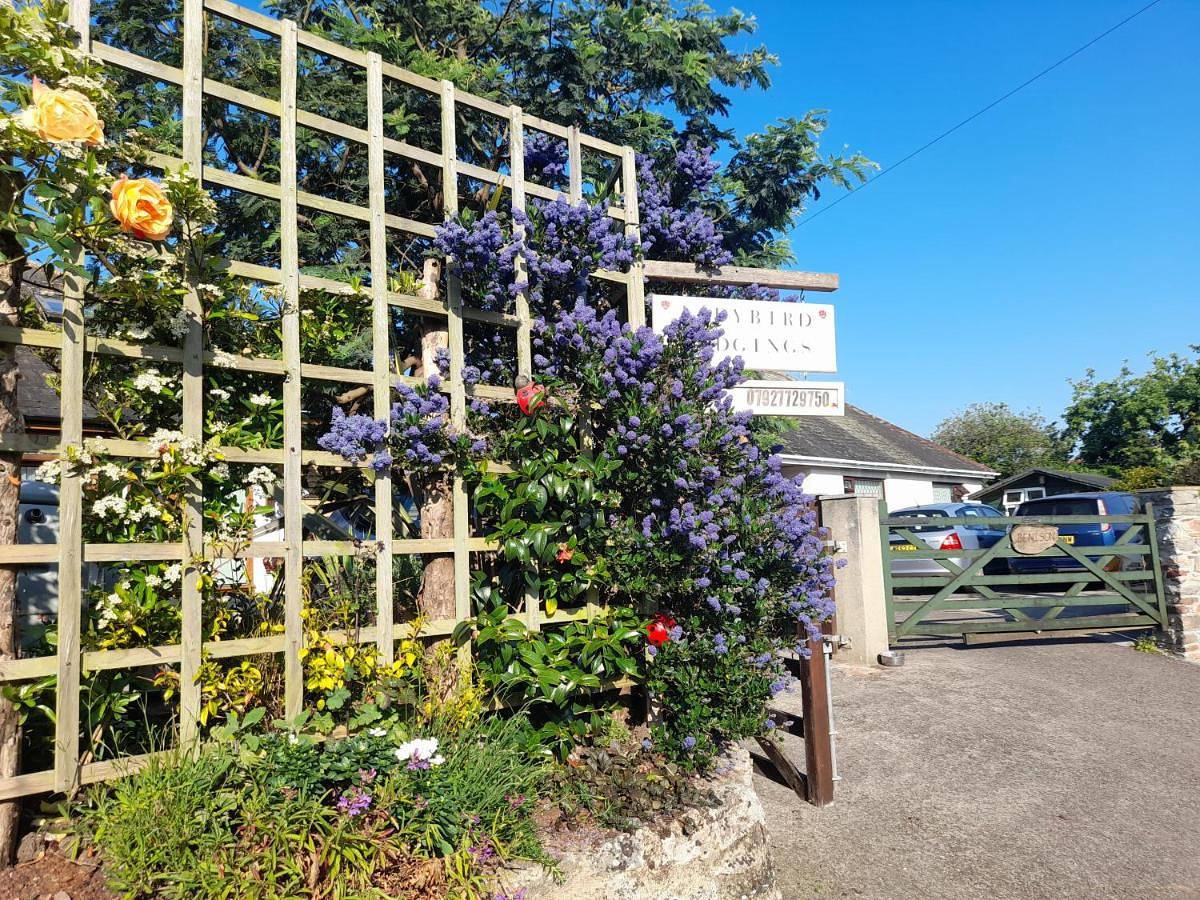 Single Room with Private Bathroom in Stoke Gabriel, Devon