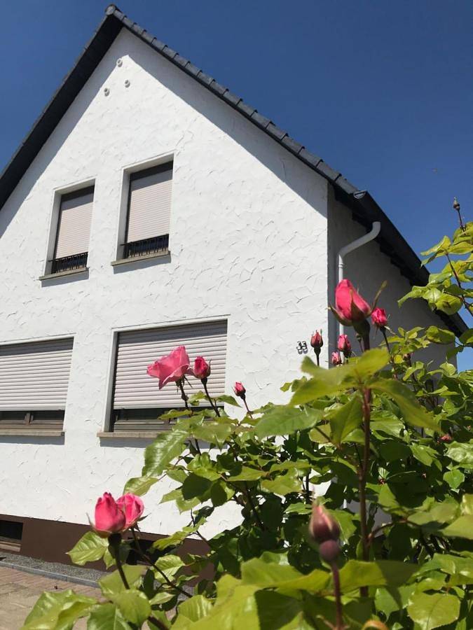 Ferienhaus für 8 Personen, mit Balkon und Terrasse sowie Garten in Haßloch