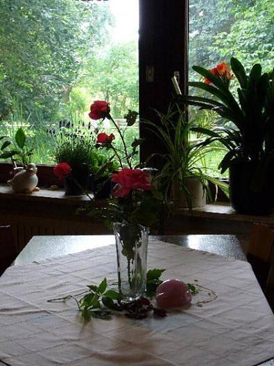 Ferienwohnung für 2 Personen, mit Terrasse und Garten sowie Pool in Lichtenfels - 2