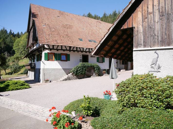 Gîte pour 4 personnes, avec jardin à Seebach (Ortenaukreis) - 4