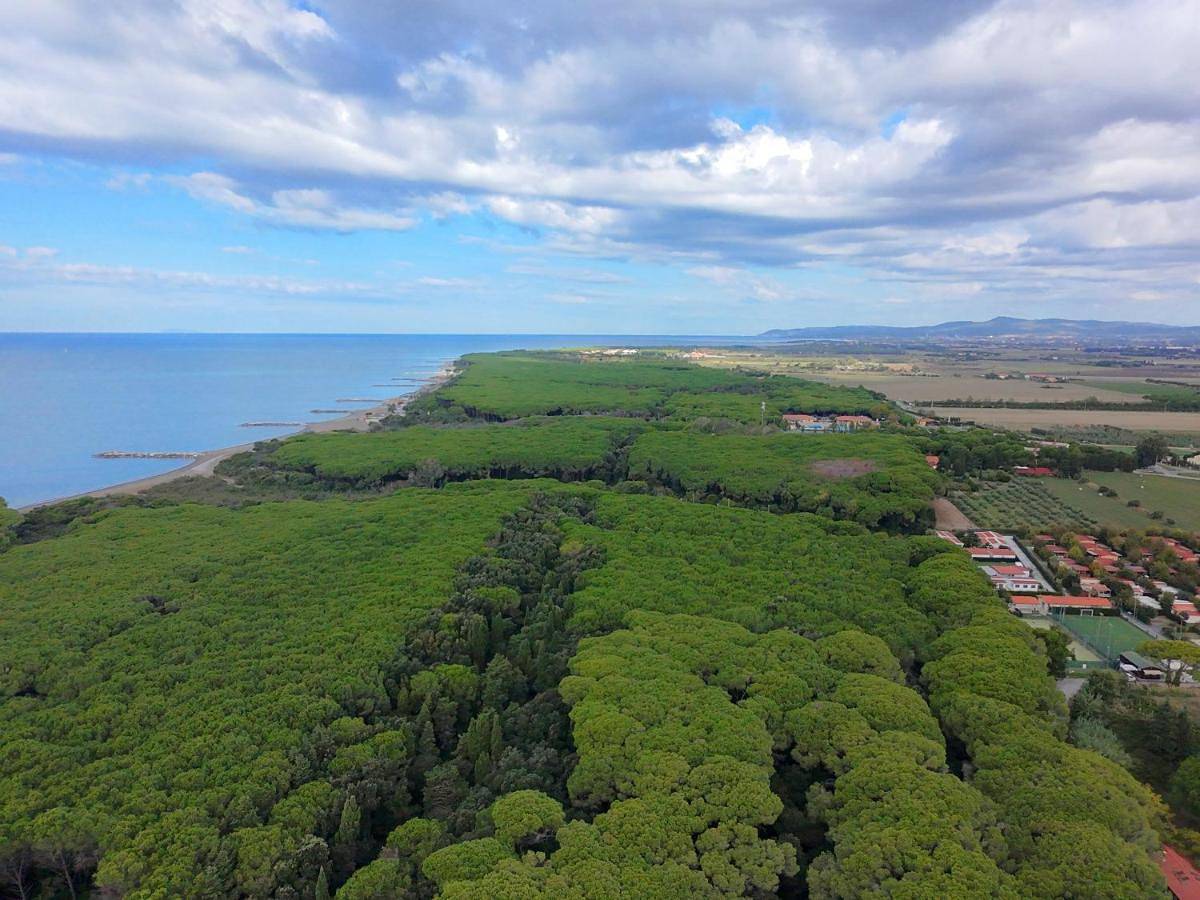 Camping Village Bocca di Cecina in Cecina, Costa degli Etruschi