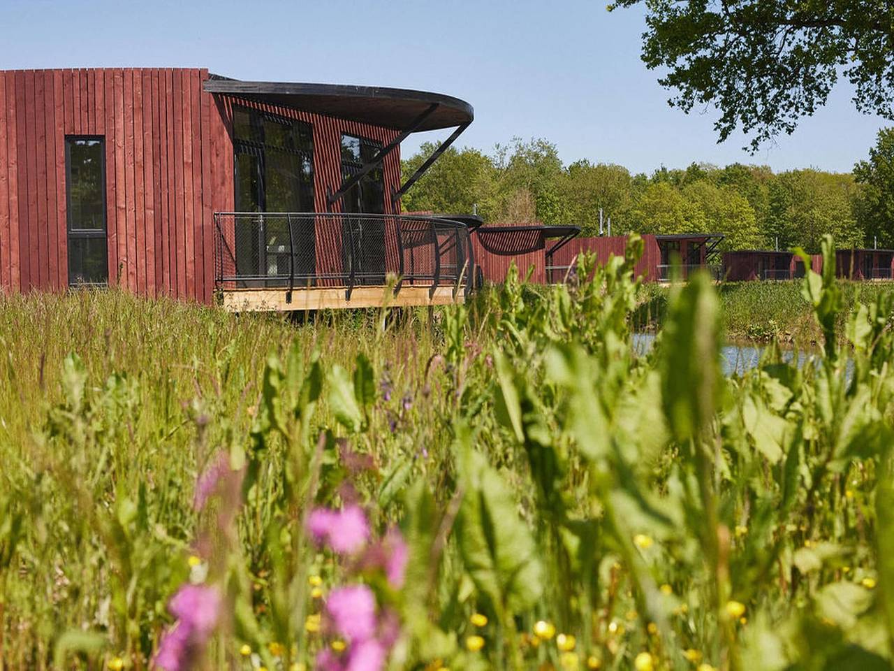 Gemütlicher Bungalow mit Pool in Hennegau