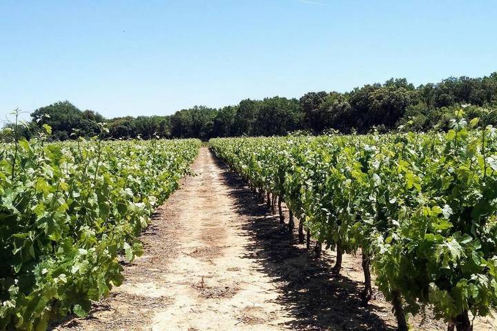 Location de vacances pour 6 personnes, avec terrasse ainsi que jardin et piscine à La Bastide-d'Engras - 4