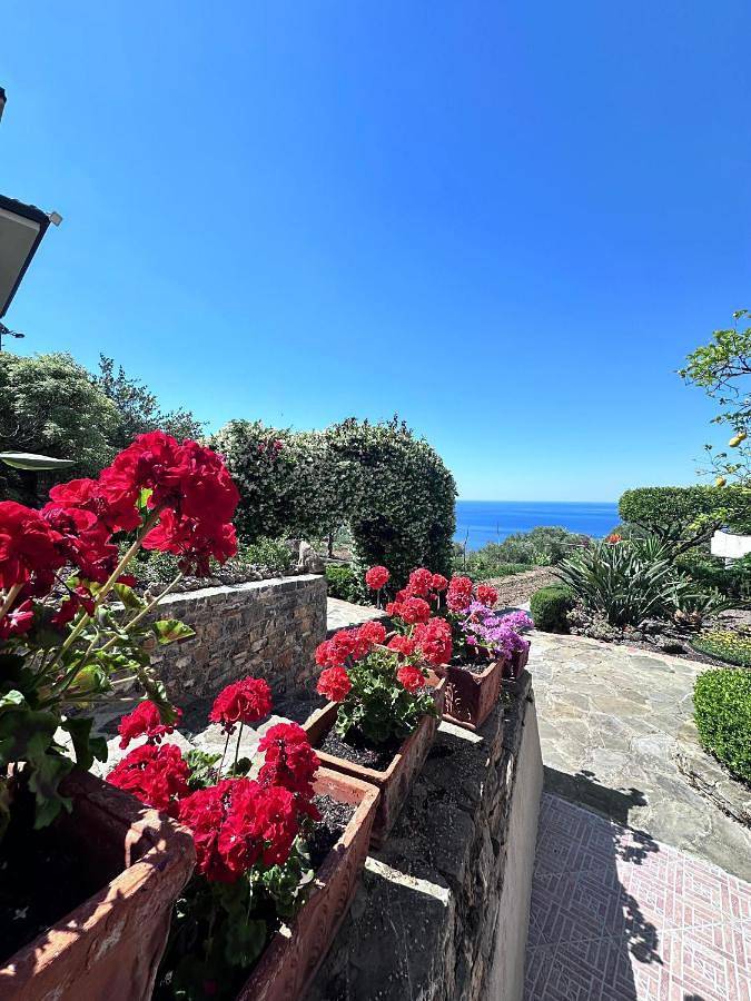La casa del Maestro in Pisciotta, Cilento Coast