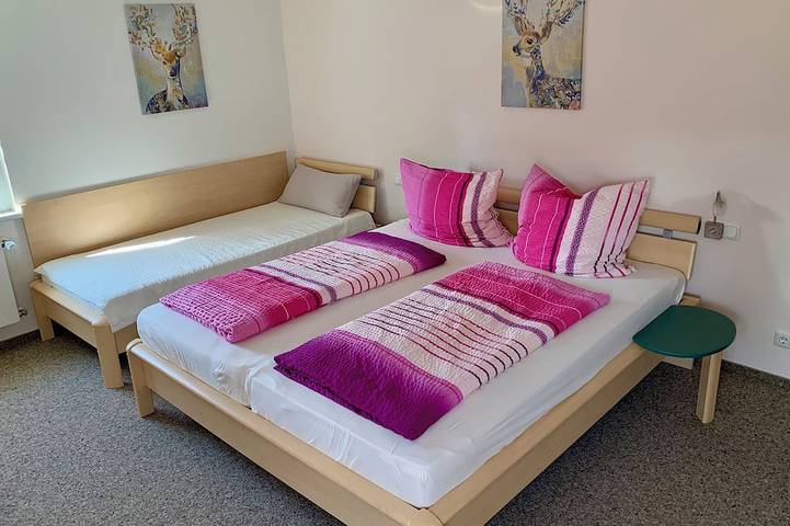 Ganze Wohnung, Gemütliches Studio direkt auf dem Rennsteig ,  mitten im Wald in Allzunah in Frauenwald, Rennsteig