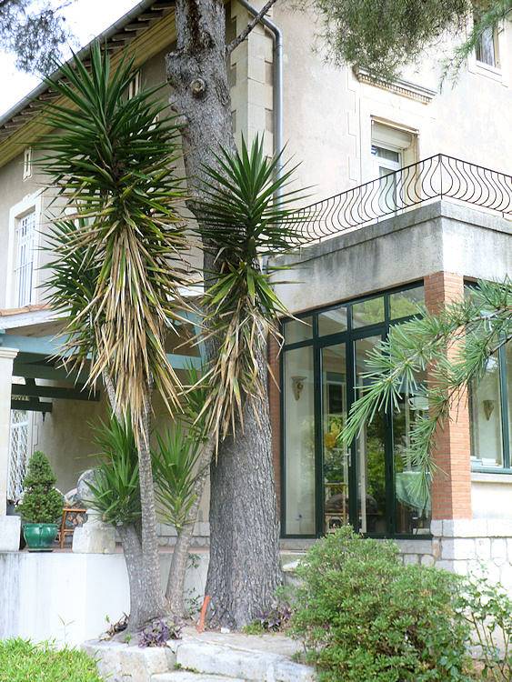 Location de vacances pour 2 personnes, avec jardin à Montpellier - 4