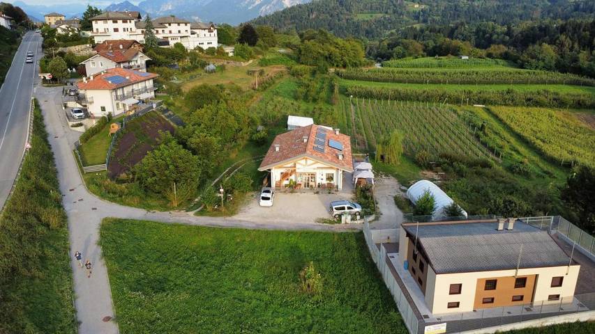 B&b per 2 persone, con Balcone e Terrazza nonché Giardino e Panorama in Lago di Caldonazzo