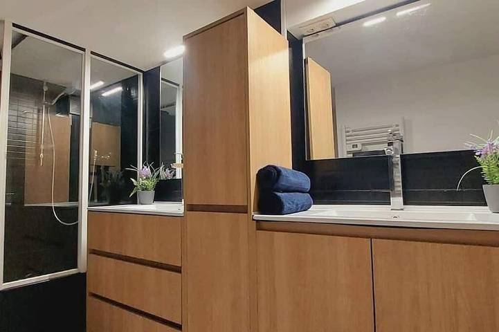 Ganze Wohnung, Loft Duplex Villeurbanne in Villeurbanne, Lyon und Umgebung