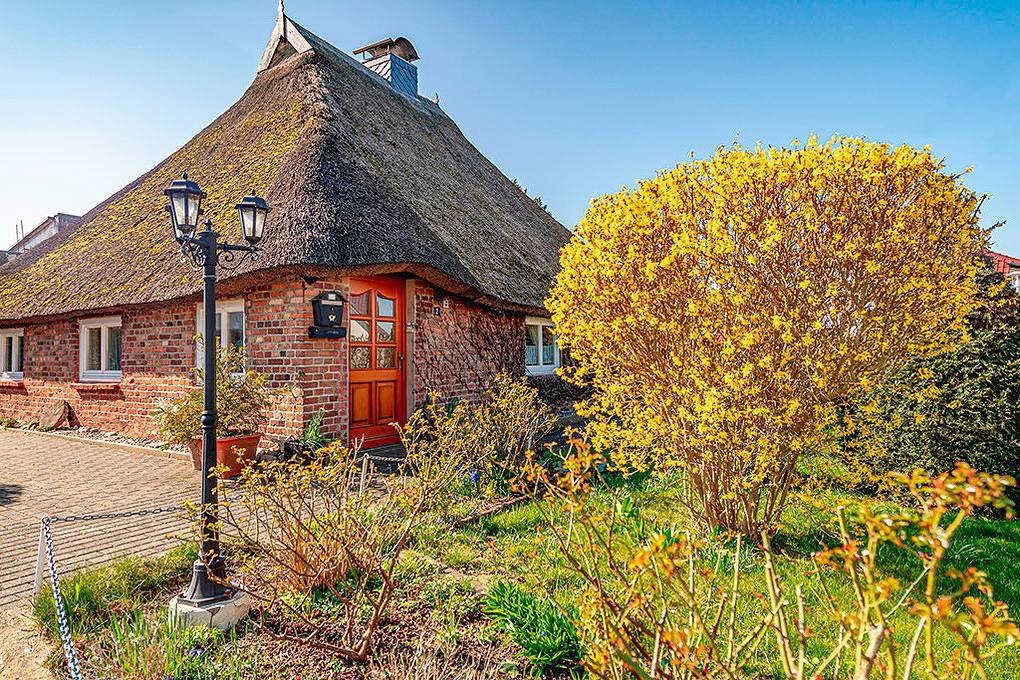 Ganze Ferienwohnung, Fewo Birkenallee in Selliner See, Baabe