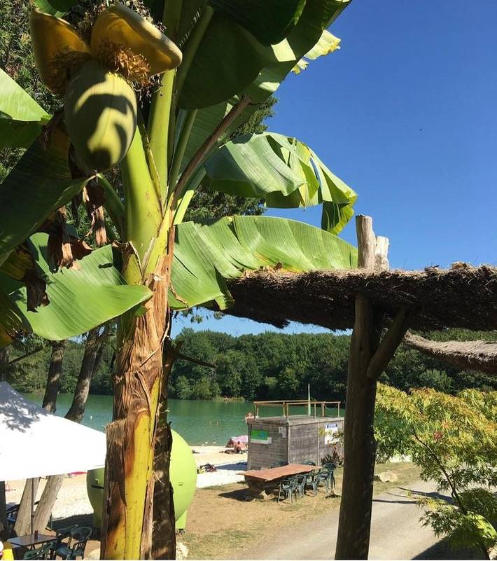 Location de vacances pour 2 personnes, avec jardin et vue à Castillon-Debats - 2
