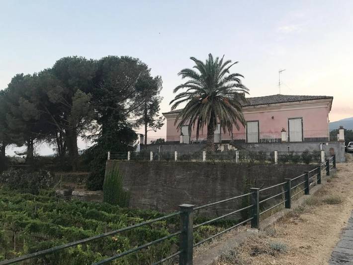 Location de vacances pour 2 personnes, avec jardin, animaux acceptés à Piedimonte Etneo - 3