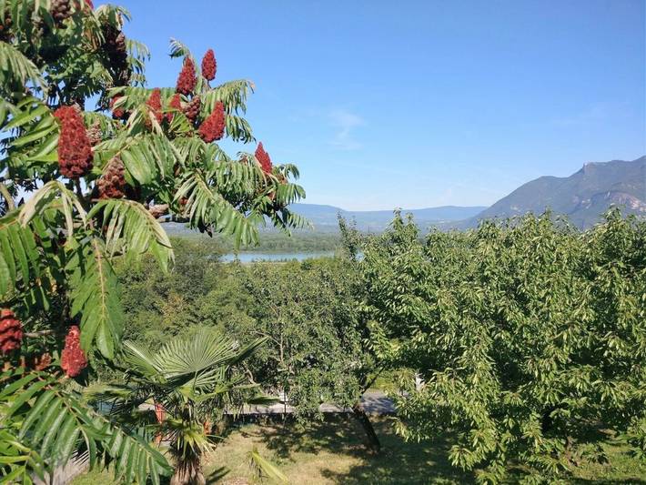 Location de vacances pour 6 personnes, avec jardin ainsi que vue sur le lac et vue à Chanaz - 4